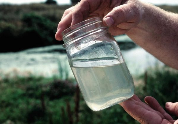 Water sample in a jar